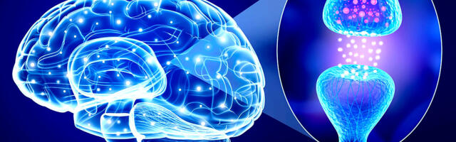 Змеиный яд, зарин и антидепрессанты