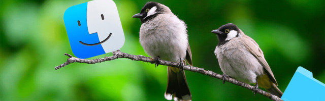 This adorable macOS extension names new folders after birds