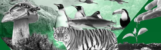 Mapped: Europe’s biodiversity startups