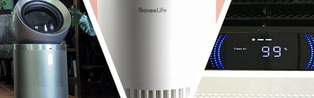 Don't suffer with seasonal allergies — I test air purifiers for a living and these are my top 3 recommendations for filtering out pollen and dust