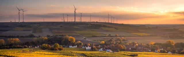 Bringing Europe to Net-Zero: Green-focused investors and what they’re looking for