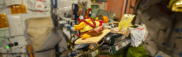 Here’s how one astronaut made a burger that’s out of this world