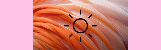 2025 was the beginning of the end of the TV brightness war