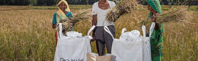 Klarna and Spotify among Nordic tech companies contributing to environmental impact platform Milkywire