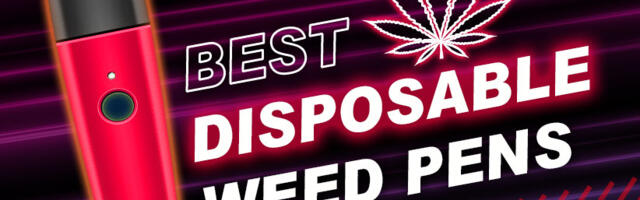 Best Vape Pens of 2024 for All Kind of Vapers: E-Liquids, Oil Concentrate & Dry Herbs