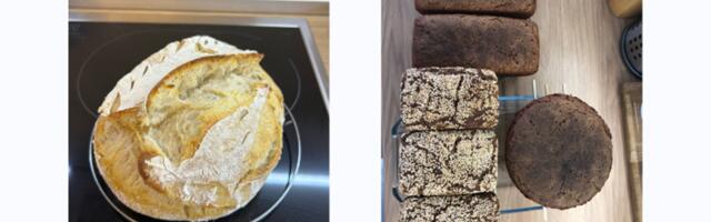 Хлеб на закваске как управляемый процесс