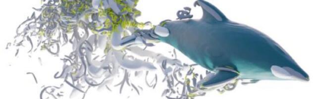 Research roundup: 6 cool science stories we almost missed