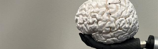 Restoring lost senses: one technology for both artificial vision and touch
