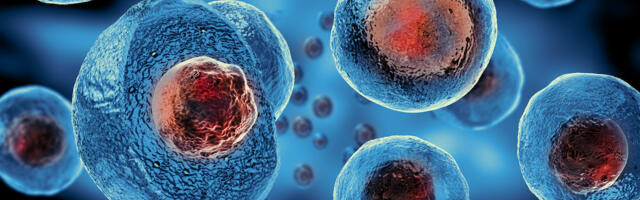 Edinburgh-based Cytomos raises £1.6m for cell analysis platform