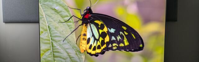I reviewed the LG G6 for 3 weeks, and it's a fantastic OLED TV that's the new best option for brighter rooms