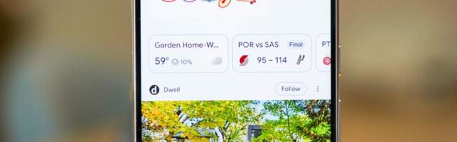 You Should Really Set Preferred Sources in Google Search, Discover