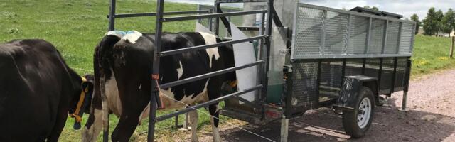 Green Cows for the Future – Breeding the Way to Carbon Neutrality