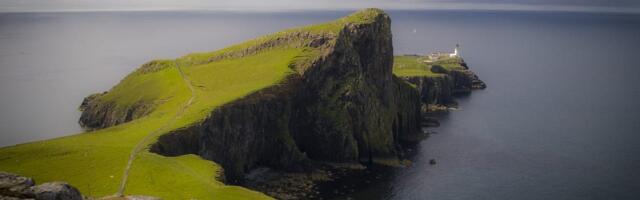 ‘Vision of hope’ pathway to Rewilding Nation presented to Scottish Government