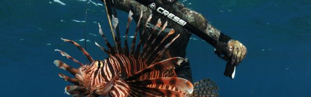 Can you profit off nature without destroying it? These venture capitalists are betting on it.