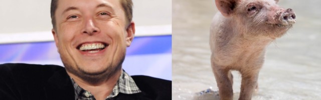 The European startups hacking your brain better than Elon Musk’s Neuralink