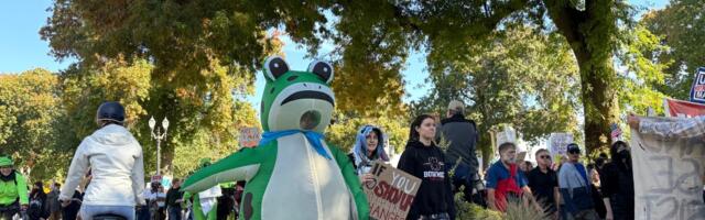 March of the frogs
