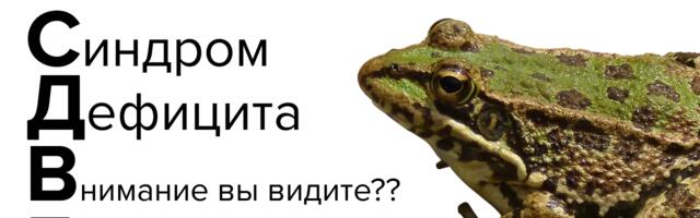 СДВГ не баг, а фича. И вы готовы к этому разговору