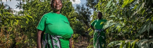 Switching to for-profit provides focus, runway for large-scale impact – Komaza CEO