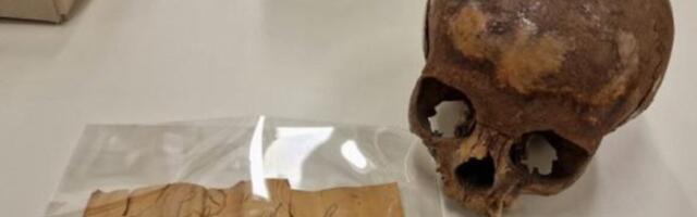 Skull long thought to be Cleopatra’s sister’s was actually a young boy