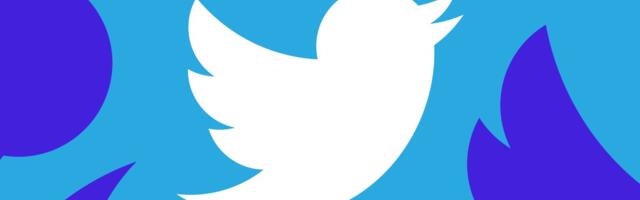‘Twitter never left:’ X sues Operation Bluebird for trademark infringement