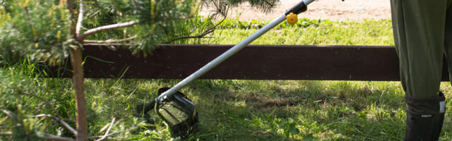 These Are The Highest-Rated Weed Eaters You Can Buy At Harbor Freight
