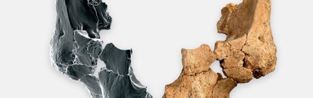 Scientists Discover Western Europe’s Oldest Face—and a Previously Unknown Human Group