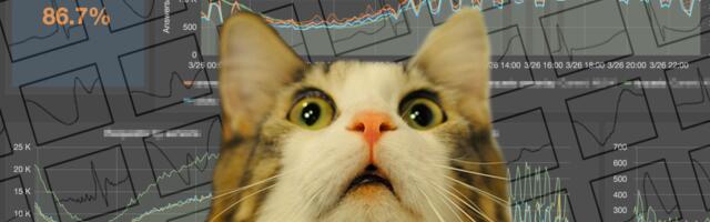 Как читать сетевые метрики VDS, и что они на самом деле означают