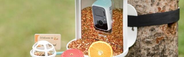 Birdfy’s smart bird feeder is down to its best-ever price for Mother’s Day