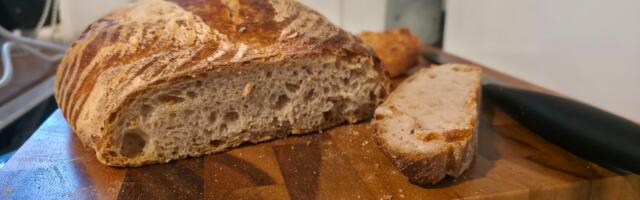 This foldable-bread-proofer-meets-slow-cooker is my new favorite kitchen gadget