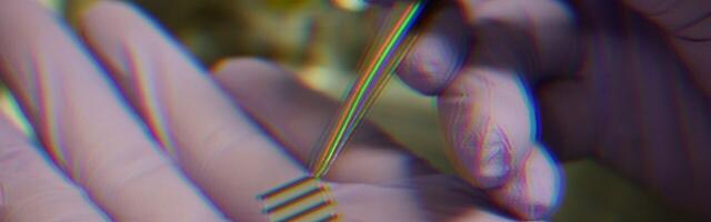 This material ‘learns’ like animals, and could help further AI research