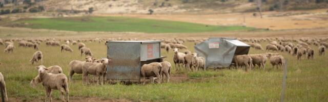 Satellite-connected, solar-powered water pump enhancing pastoral farming in Australia