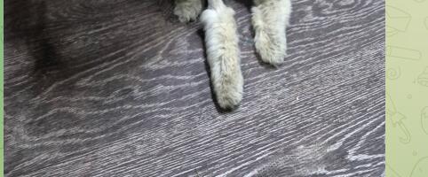 Автоматизация публикаций в Telegram: бот для интерактивных постов и автоматического управления доступом к чатам