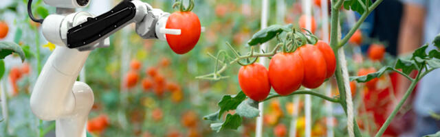 Physical AI: robotics are poised to revolutionise business