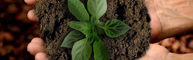 Implemention of Single-use Technology and Sustainability