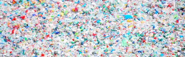 The research on microplastics in our bodies is terrifying. It might also be wrong.