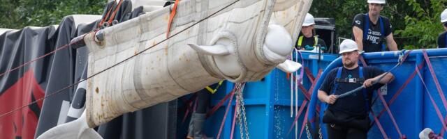 Inside the Wild Rescue Mission That Took 4 Beluga Whales to Chicago