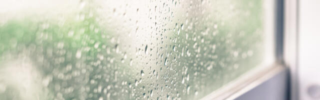 Should You Avoid Using Rain-X On Your House Windows?