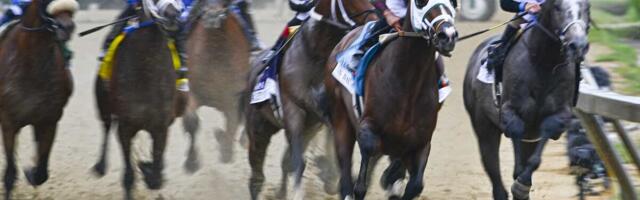 How To Bet On Preakness Stakes 2025 In North Carolina