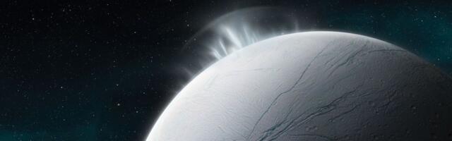 The Structure of Ice in Space Is Neither Order nor Chaos—It’s Both