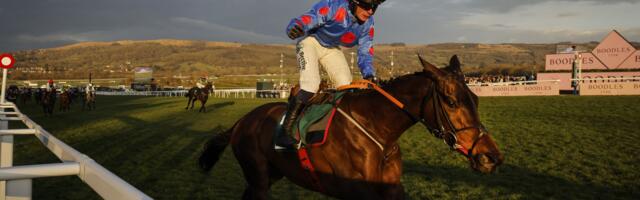 How to watch the 2025/26 National Hunt season for *FREE*  — Cheltenham Festival, Grand National, Christmas Festival & More....