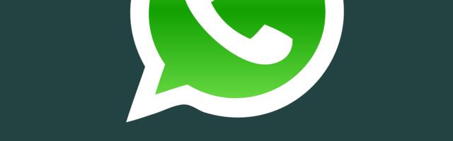 WhatsApp не работает: Блокировка 28 ноября РКН и причем тут ТСПУ