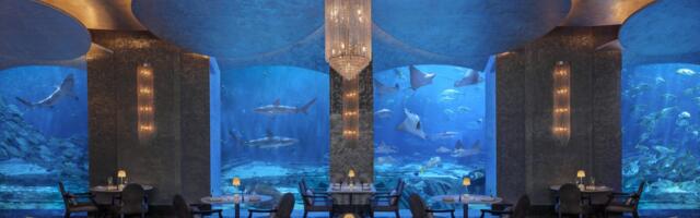 ​​Dubai Hotels and Restaurants Featured In Netflix’s ‘Somebody Feed Phil’