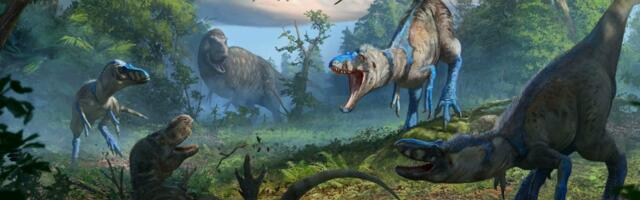 Климат в эпоху динозавров