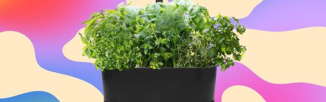 The Aerogarden I Recommend to Everyone Is Just $83 Right Now, a 63% Discount