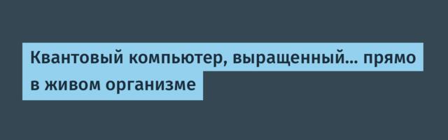 Квантовый компьютер, выращенный… прямо в живом организме