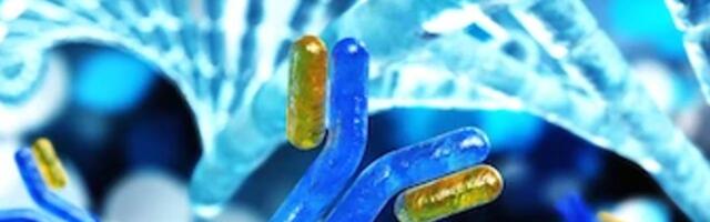 IsomAb secures £7.5M for treatment of diabetic peripheral arterial disease