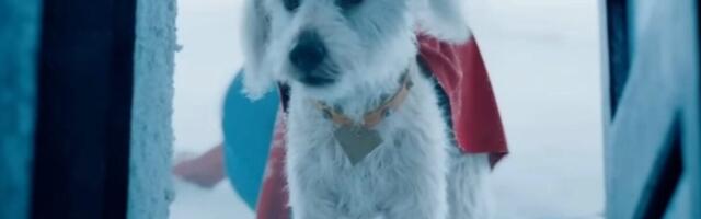 Krypto’s ‘Superman’ Spotlight Is Inspiring People to Adopt Their Own Superdog