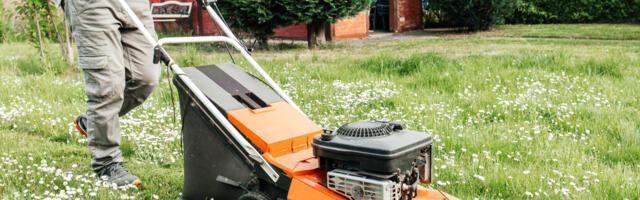 Do All Lawn Mowers Use The Same Spark Plugs? What To Know Before You Buy