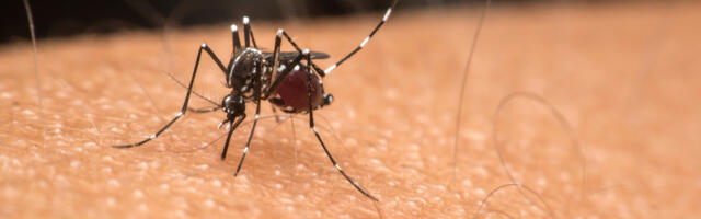 5 Of The Best Gadgets For Keeping Pesky Bugs Out Of Your Home