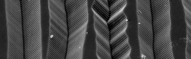 How Does Quadrophonic Vinyl Put Four Channels in One Groove? Look Through an Electron Microscope and See
